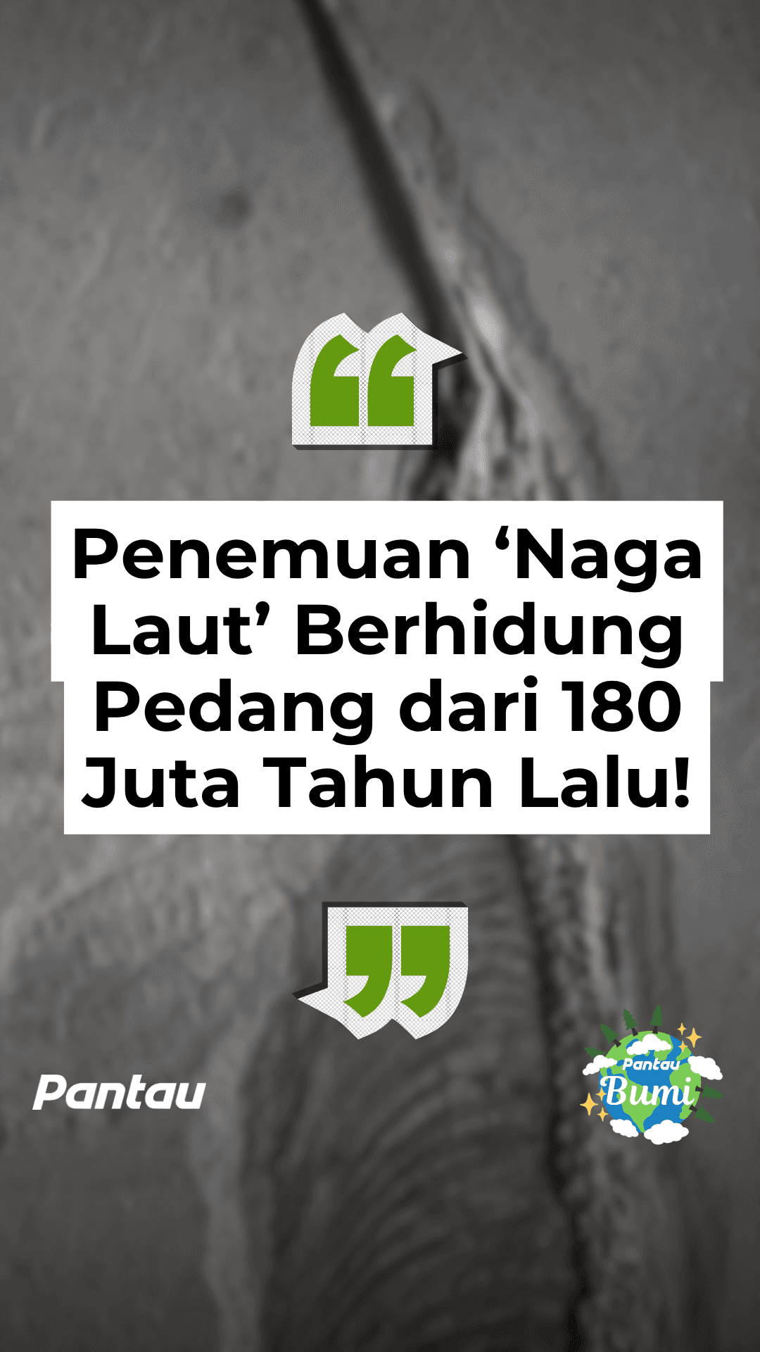 PENEMUAN ‘NAGA LAUT’ BERHIDUNG PEDANG DARI 180 JUTA TAHUN LALU!