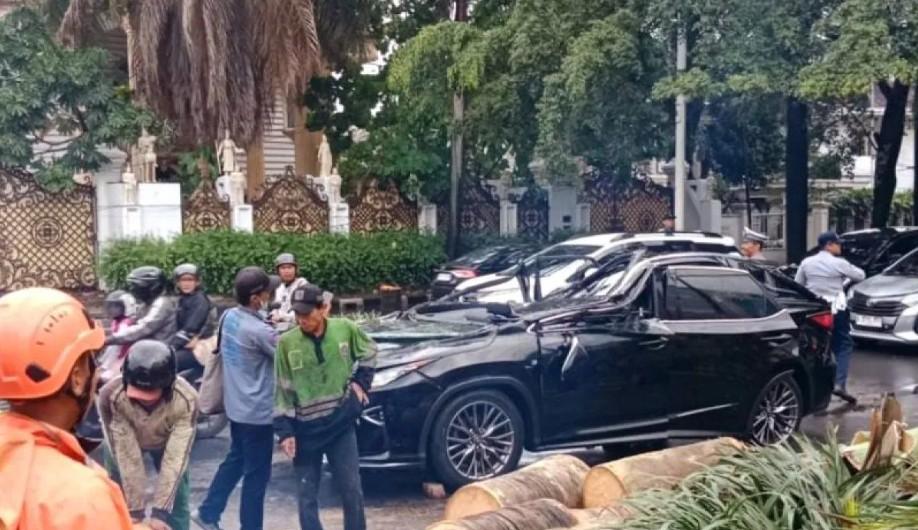 Mobil Lexus Tertimpa Pohon Tumbang di Pondok Indah, Pengemudi Tewas di Tempat