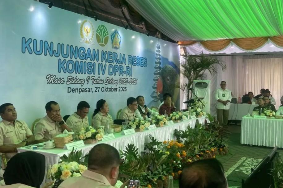 Menteri Kehutanan Minta Maaf atas Pembakaran Mahkota Cenderawasih, Janji Evaluasi Prosedur Penegakan Hukum