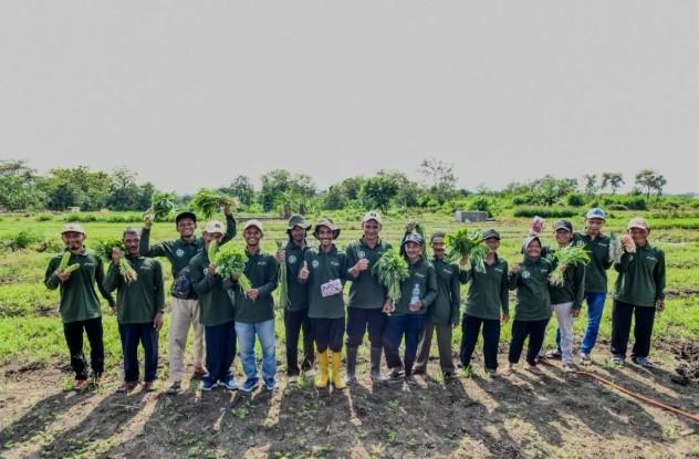 Energi Surya Bawa Harapan Baru bagi Petani Sobokerto di Tengah Kemarau Panjang