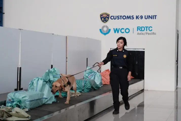 Indonesia Pimpin Komite Harmonized System WCO, Tegaskan Peran Strategis di Kancah Internasional