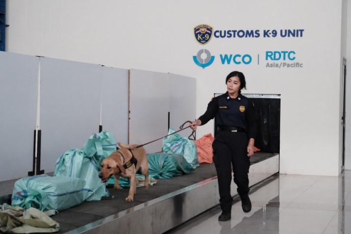 Indonesia Pimpin Komite Harmonized System WCO, Tegaskan Peran Strategis di Kancah Internasional