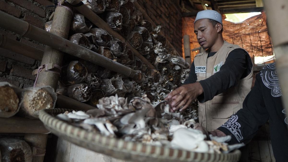 Kisah Dai Transformatif: Budidaya Jamur Tiram dan Jalan Dakwah Produktif