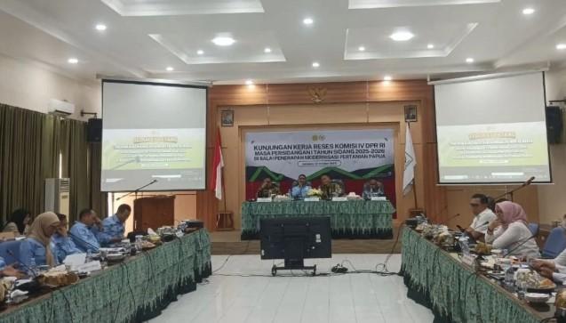 Potensi Pertanian Papua Dinilai Luar Biasa, Tapi Hadapi Tantangan Infrastruktur dan SDM