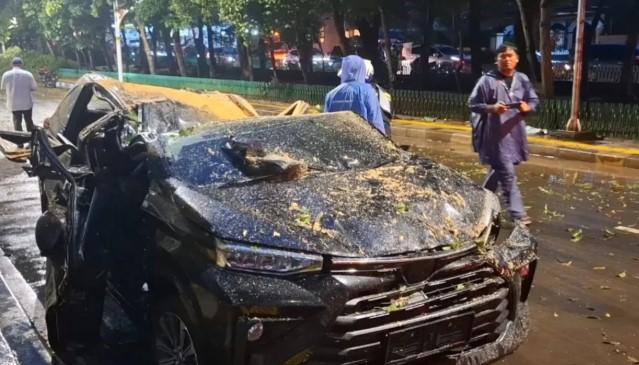 Tertimpa Pohon Tua Saat Hujan Deras, Seorang Pria Tewas di Kebayoran Baru