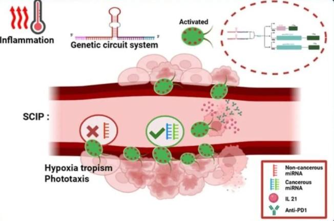 Mahasiswa Universitas Brawijaya Kembangkan Terapi Kanker Anak Berbasis Mikroalga Genetik, Raih Penghargaan Internasional