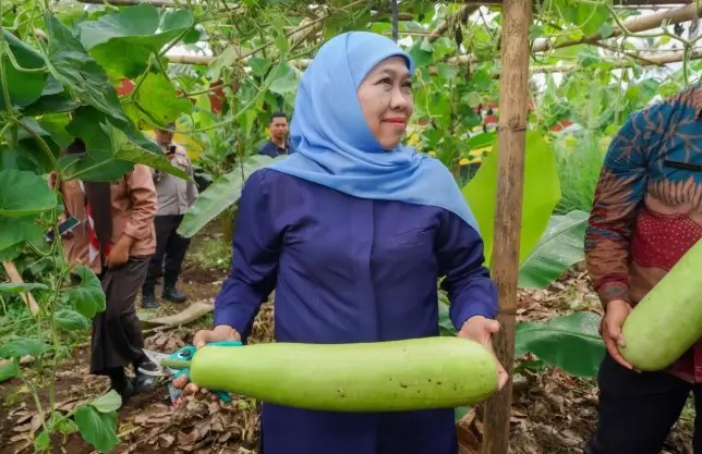 SMAN 1 Dampit Jadi Role Model Sekolah Ketahanan Pangan, Khofifah Apresiasi Program SIKAP