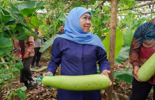 SMAN 1 Dampit Jadi Role Model Sekolah Ketahanan Pangan, Khofifah Apresiasi Program SIKAP