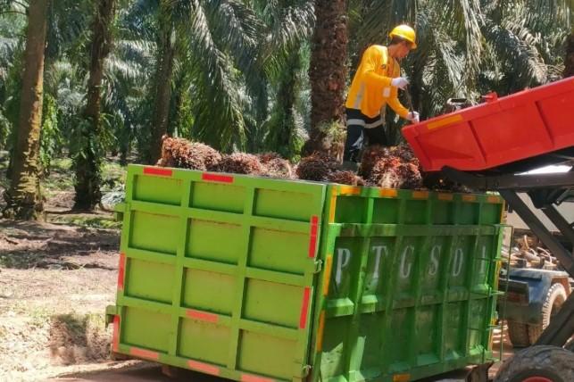 Astra Agro Lestari Perkuat Transparansi dan Digitalisasi Rantai Pasok Sawit hingga Tingkat Perkebunan