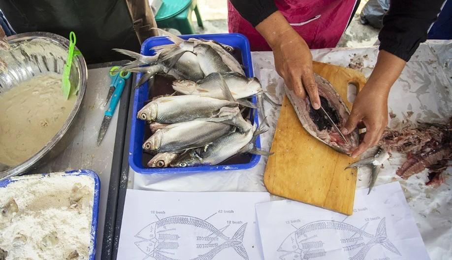 KKP Latih Pengelola Gizi Sekolah untuk Dukung Program Makan Bergizi Gratis Lewat Olahan Ikan Aman dan Bermutu