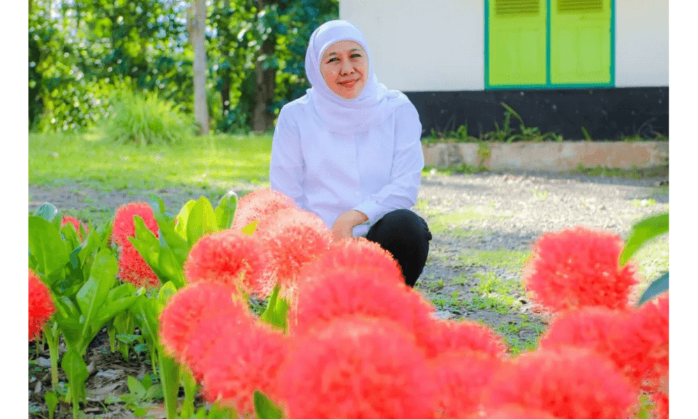 Gubernur Khofifah Puji Keindahan dan Makna Spiritual Bunga Desember di Bondowoso