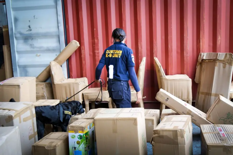 Penumpang Sembunyikan 10 Paket Narkoba di Dubur, Bea Cukai Batam Gagalkan Dua Penyelundupan Sekaligus