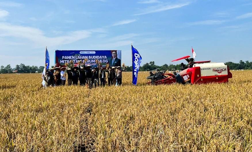 Bulog Optimalkan Aset Lahan dan Teknologi Modern untuk Tingkatkan Produksi Padi Nasional
