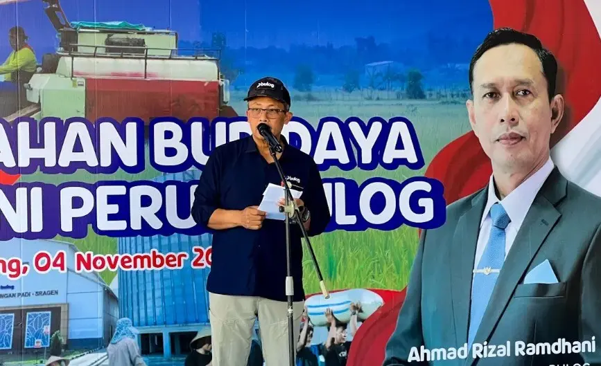 Bulog Perkuat Rantai Pasok Beras Nasional Lewat Tiga Pola Kemitraan Pertanian