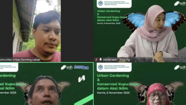 Kupu-Kupu Jadi Bioindikator Lingkungan, Populasinya Terancam Perubahan Iklim dan Polusi
