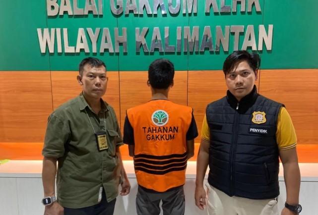 Kemenhut Tangkap Aktor Utama Sindikat Pembalakan Liar di Kalimantan Timur, Gunakan Dokumen Palsu Kirim Ratusan Kayu Ilegal