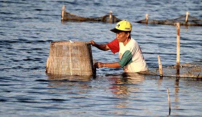Pertamina Energy Terminal Berdayakan Nelayan Tanjung Uban Lewat Program Sosial dan Literasi Energi