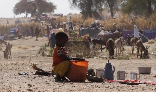 Serangan RSF di Kota Barah Kordofan Utara Tewaskan 43 Orang dan Lukai 37