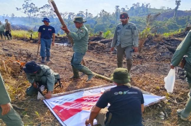 Operasi Seblat: Pemerintah Kuasai Kembali 4.000 Hektare Hutan Dirambah di Bentang Alam Seblat