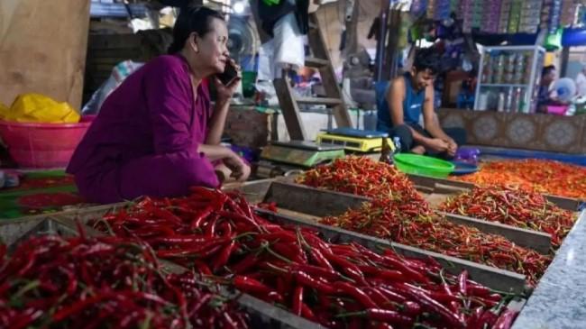 Harga Pangan Nasional Terpantau Stabil, Cabai dan Telur Ayam Turun Signifikan