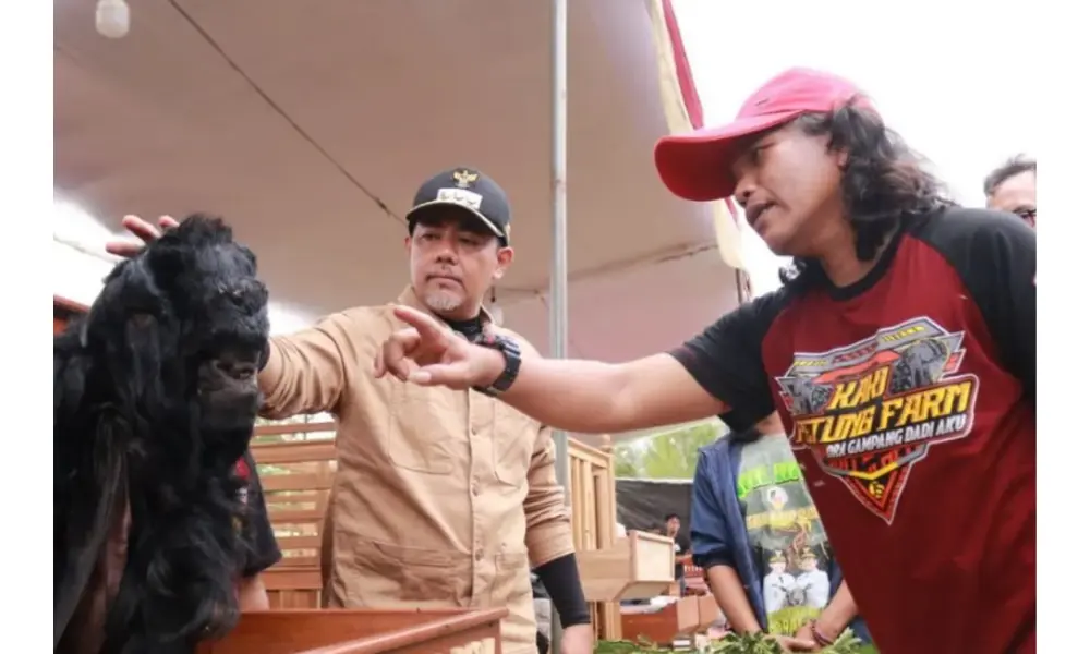Probolinggo Didorong Jadi Sentra Ternak Kambing dan Domba, Kontes Nasional Warnai The Seven Lakes Festival 2025