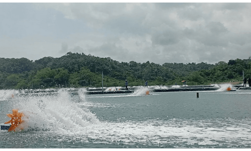Nusakambangan Bertransformasi Jadi Pusat Ketahanan Pangan, Warga Binaan Berperan Aktif dalam Pembangunan