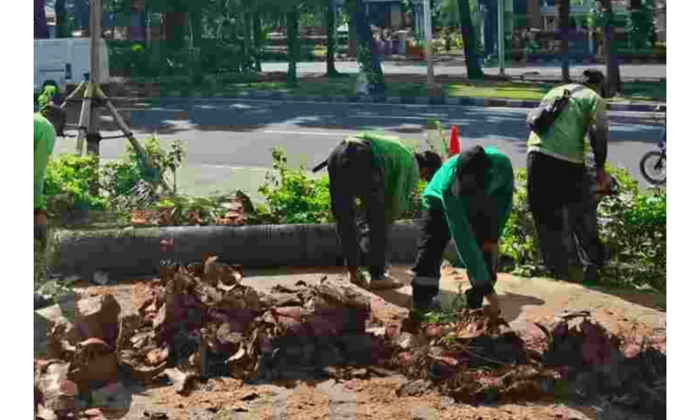 Distamhut DKI Lakukan Penopingan Pohon Serentak untuk Antisipasi Cuaca Ekstrem di Jakarta