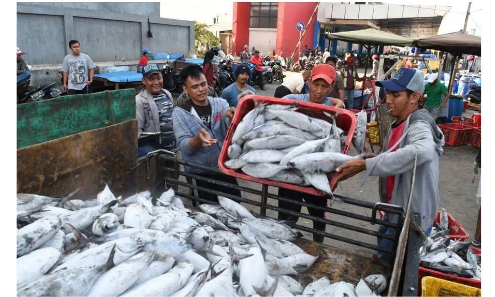 DPR Dorong Pemerintah Atasi Harga Pakan Tinggi dan Distribusi Ikan Budidaya yang Belum Terjamin