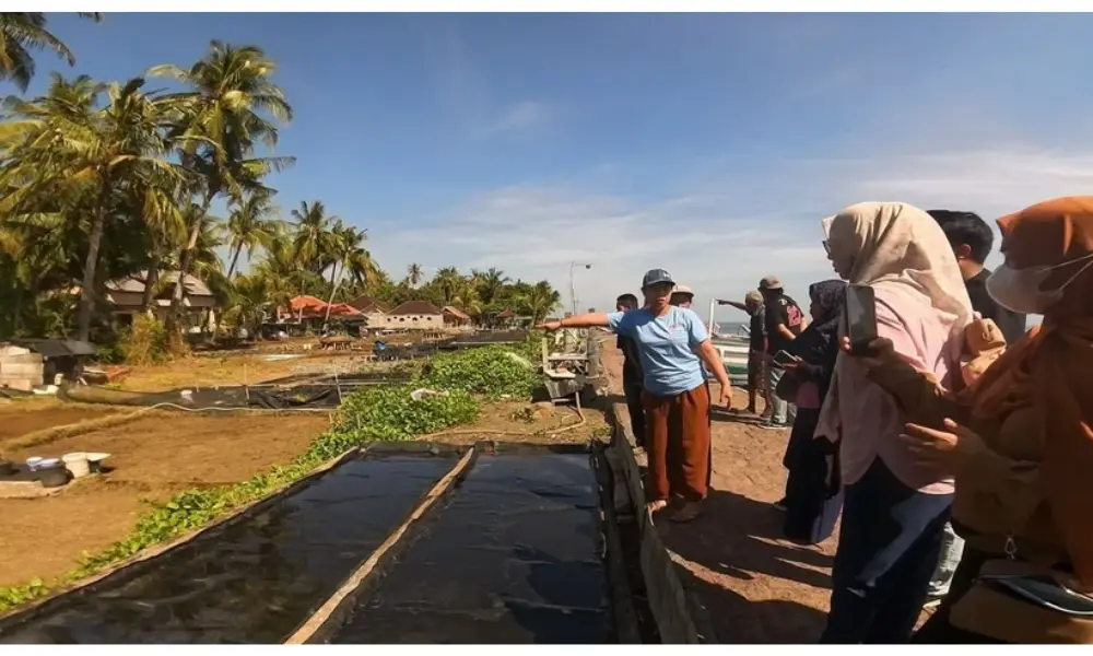 Desa Les Bali Jadi Simbol Pariwisata Hijau dan Inovasi Ekonomi Berbasis Garam Tradisional