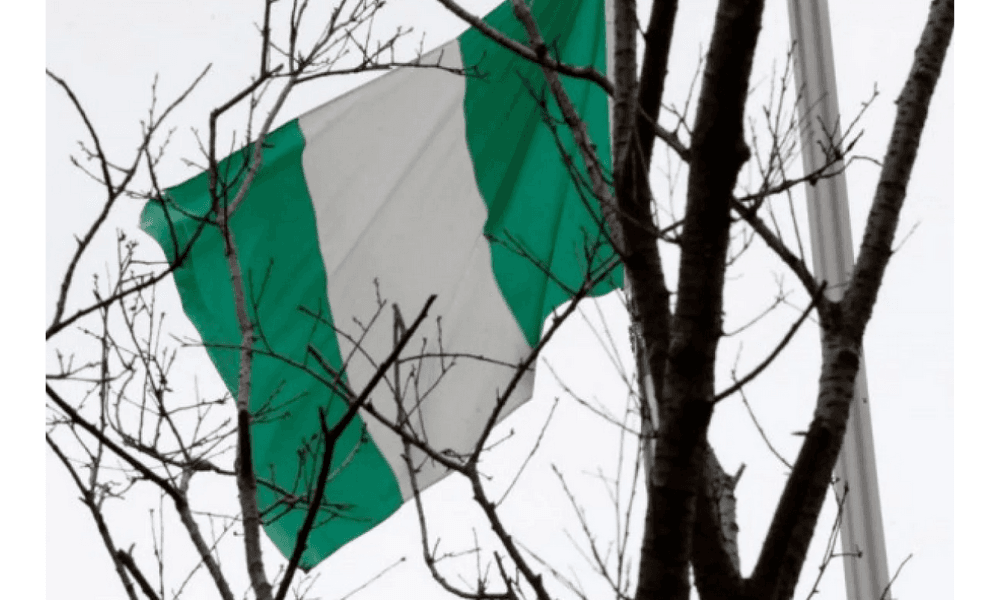 Warga Nigeria Gelar Unjuk Rasa Tolak Ancaman Militer AS dan Klaim Genosida Umat Kristen oleh Donald Trump