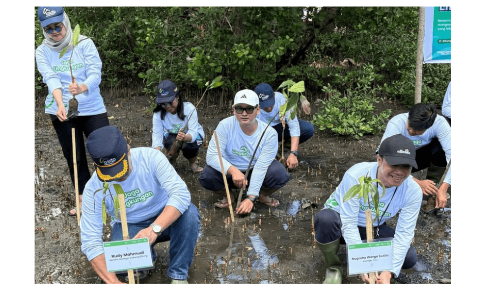 ASDP Tanam 3.000 Mangrove di Bitung, Perkuat Komitmen Lingkungan dan Mitigasi Iklim