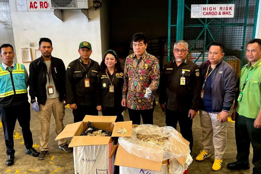 Ekspor Sarang Burung Walet ke Vietnam Digagalkan, Barantin Bongkar Modus Penipuan oleh Eksportir