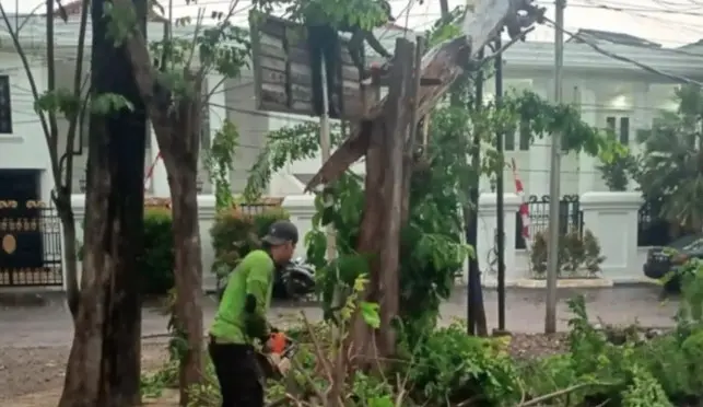 Cegah Pohon Tumbang Saat Musim Hujan, Sudin Tamhut Jakarta Timur Gencarkan Penopingan