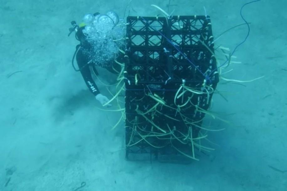 Pemprov Sulawesi Selatan Lanjutkan Program Apartemen Ikan untuk Tingkatkan Hasil Tangkapan Nelayan