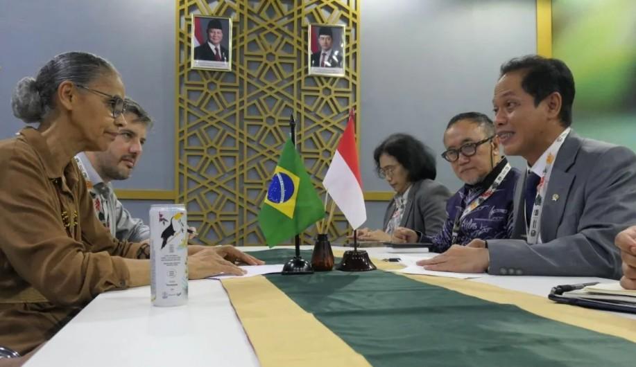 Indonesia dan Brasil Sepakat Perkuat Kerja Sama Iklim, Dukung Inisiatif Pendanaan Hutan Tropis