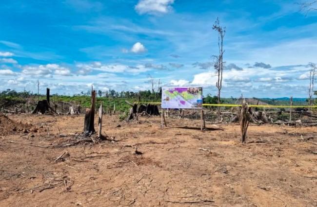 Kemenhut Amankan 2.390 Hektare Hutan di Lanskap Seblat dari Perambahan Ilegal