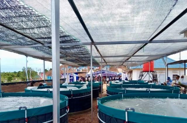 Diskan Batam Kembangkan Budidaya Ikan Bioflok sebagai Alternatif Mata Pencaharian Masyarakat Pesisir