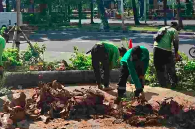 Distamhut DKI Gelar Penopingan Pohon Serentak Hadapi Puncak Musim Hujan dan Angin Kencang