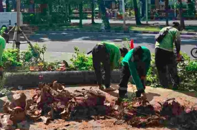 Distamhut DKI Gelar Penopingan Pohon Serentak Hadapi Puncak Musim Hujan dan Angin Kencang