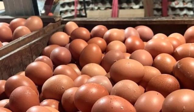 Harga Cabai Rawit dan Telur Ayam Naik, PIHPS Catat Pergerakan Harga Pangan Nasional