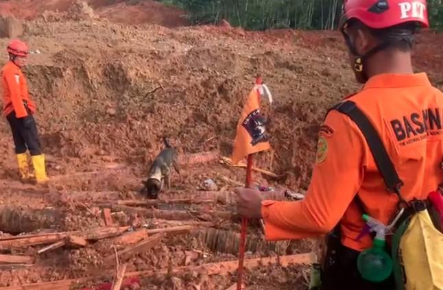 Tim SAR Kerahkan Anjing Pelacak dan Alat Berat Cari Korban Longsor di Cilacap