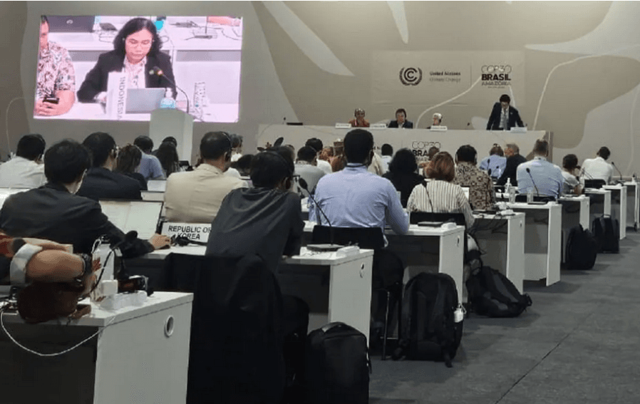 Indonesia Perjuangkan Keadilan Pasar Karbon Global dalam Sidang COP30 di Brasil