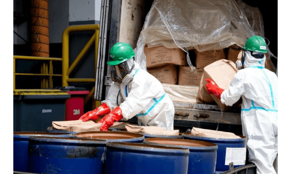 Barantin Musnahkan 5,7 Ton Udang Terkontaminasi Cesium-137, Tegaskan Komitmen Jaga Keamanan Pangan