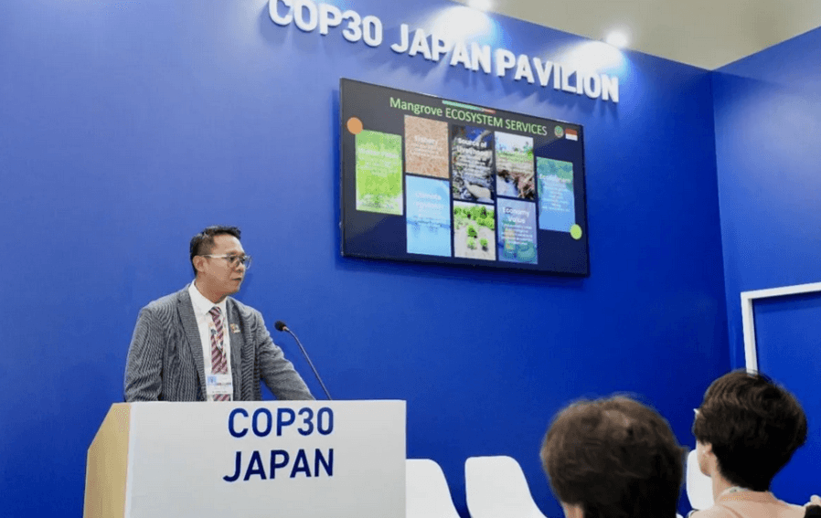 Kementerian Kehutanan Dorong Inovasi Pembiayaan untuk Rehabilitasi Mangrove Berkelanjutan