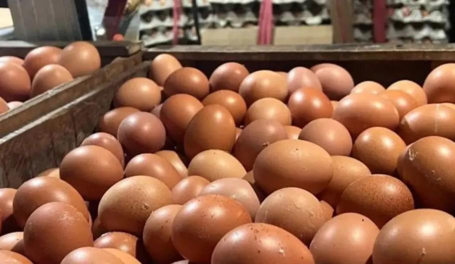 Harga Telur Ayam Ras Meningkat, Didorong Permintaan Program Makan Bergizi Gratis