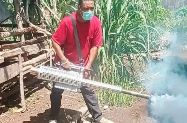 Pemerintah Lembata Intensifkan Fogging dan Pencegahan DBD di Tengah Musim Hujan