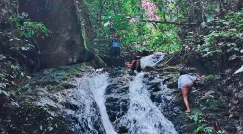 Wisata Alam Lamandau, Menyelami Keindahan Hutan Tropis dan Bukit yang Menawan