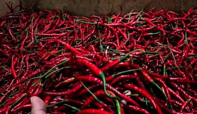 Harga Bawang, Cabai, dan Beras Naik: Ini Daftar Lengkap Harga Pangan Nasional 21 November 2025