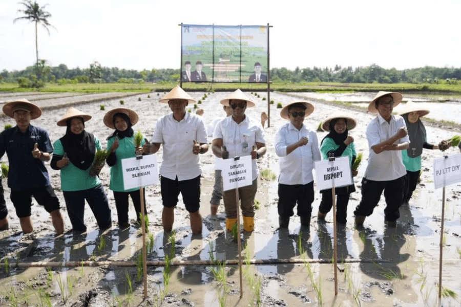Kementan Luncurkan Kampung Peramalan OPT di Sleman, Dorong Pertanian Presisi dan Berkelanjutan