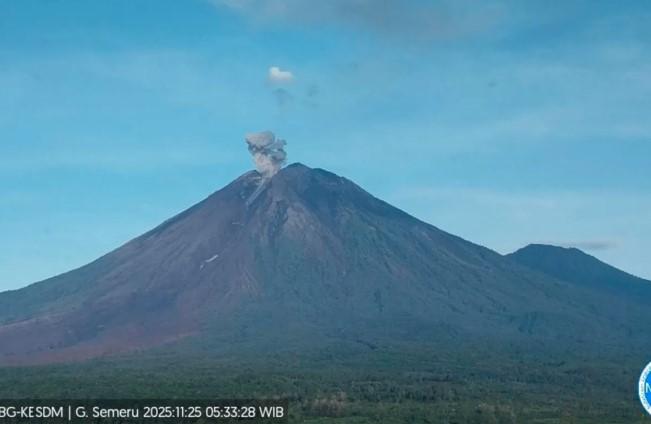 Semeru Erupsi Delapan Kali Dini Hari, Kolom Abu Capai 1.000 Meter di Atas Puncak